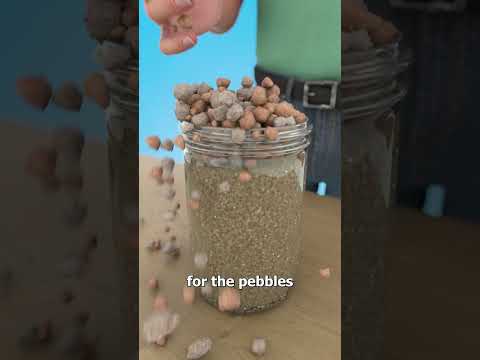 The Jar That Never Fills 🤔