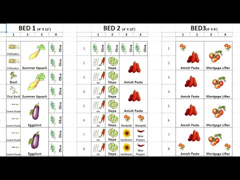 YouTube video about: When to plant zucchini in virginia?