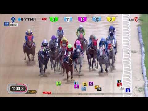 YTN Cup 2018 - Cheongdam Dokki