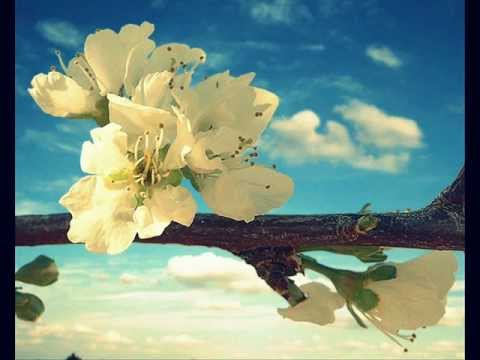 DJ Greddy vs Slim Tim - Cloudless Sky