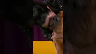 Toot your own horn! Trumpet the Bloodhound wins Best in Show | Westminster Kennel Club | FOX SPORTS