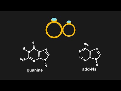 Mnemonics For Memorizing the Nucleotides | MCAT Content