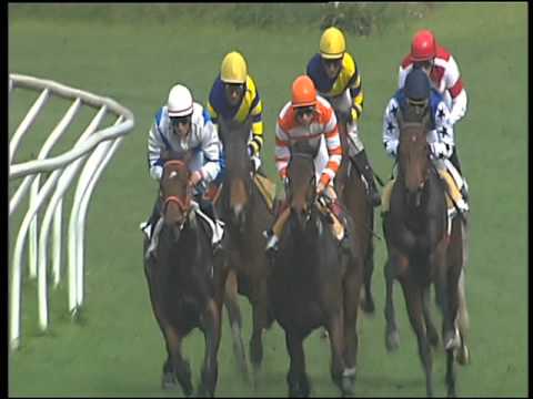 Galoppo 29/03/2016 - 1° corsa