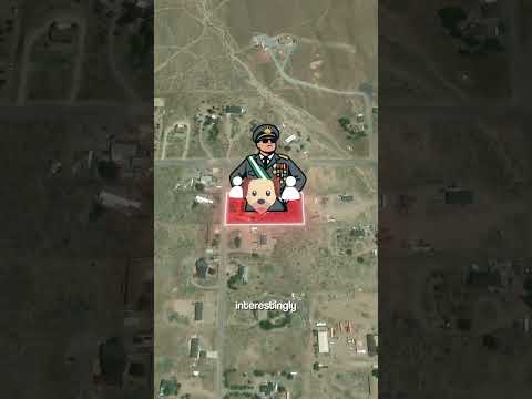 Backyard Turned Into a Nation! 🇺🇸