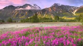 Jaane Jaan Dhoondta Phir Raha sung by Rasha