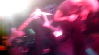 The Blackout - Fashion conscious suicide.