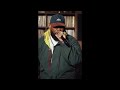 Raekwon: "600 School" live with band