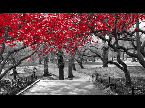 Jānis Ķepītis un Imants Ziedonis ”Tu neej prom” dzied Aira Rūrāne