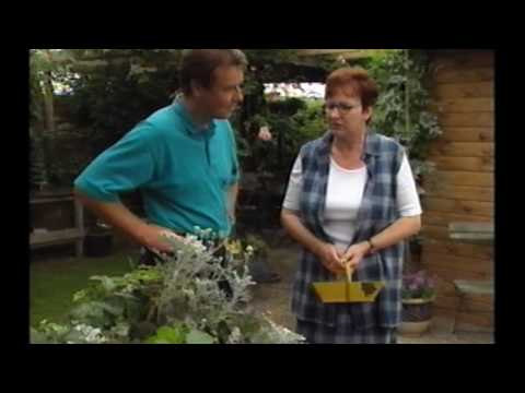 Bloemenatelier 05 Groene Vingers (1999 ?)