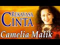 Rekayasa Cinta Camelia Malik