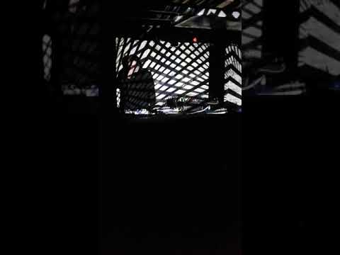 Champagne Mirrors live 2019