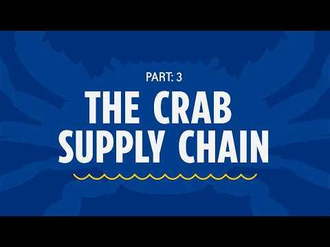 Part 3: The Crab Supply Chain