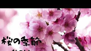 『桜の季節』第9話