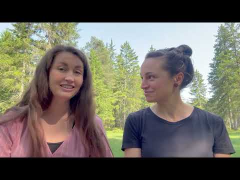 Ein Lebenszeichen von der Glüxpraxis