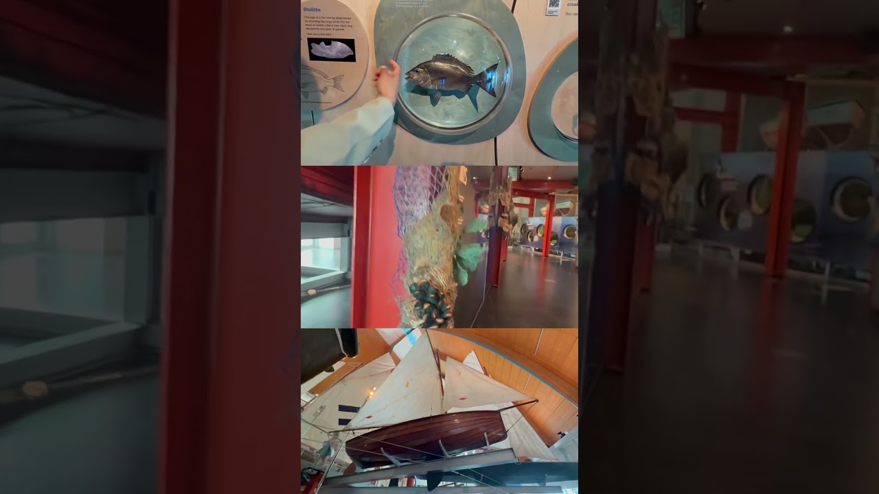 YouTube Short thumbnail