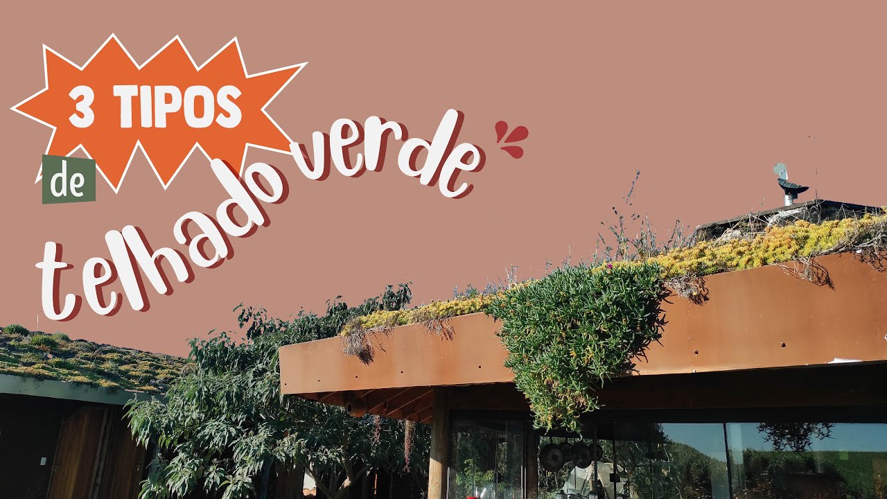 Três tipos de telhado verde
