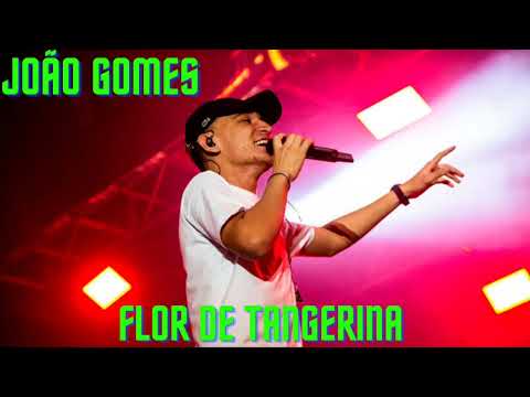 João Gomes - Flor De Tangerina (Ative As Legendas)