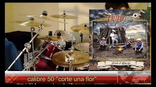 Calibre 50 corté una flor(drum cover)usar🎧🎧