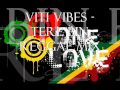Viti Vibes - Tere bin...Mellow reggae mix