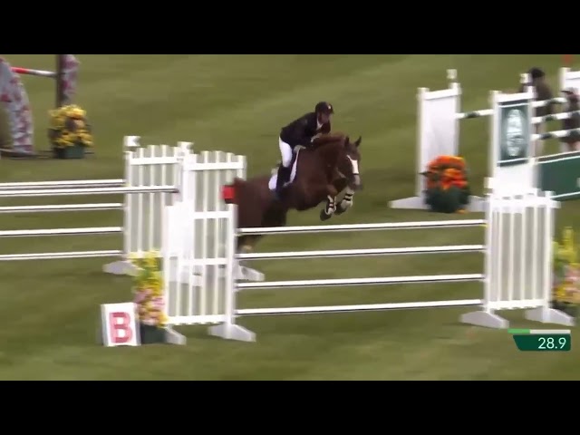 The mother of this Frozen Embryo is the full sister of the mother of the CSI 1.60m jumping Stallion Nixon van't Meulenhof with rider Jos Verlooy.