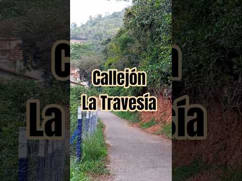 vista de Zea desde La Travesía.