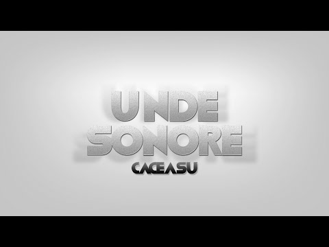 CaCeasu - Unde Sonore (2014) Lyric Video