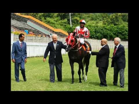 G.Rousset Stable 2014