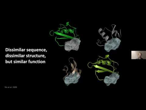 Geometric Deep Learning for Functional Protein Design (Michael Bronstein, Imperial College London)
