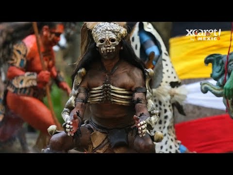 MEXICO'S MAJESTIC PARADISE | Xcaret México! Cancún Eco Park