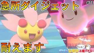 チェリム ポケットモンスター ヤドン プロトーガ ズガドーン チェリム ポケットモンスター ヤドン プロトーガ ズガドーン