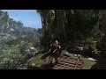 Assassin's Creed IV: Black Flag GeForce GTX Tech ...