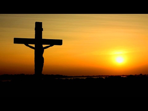 Promotional video thumbnail 3 for Mark Williamson