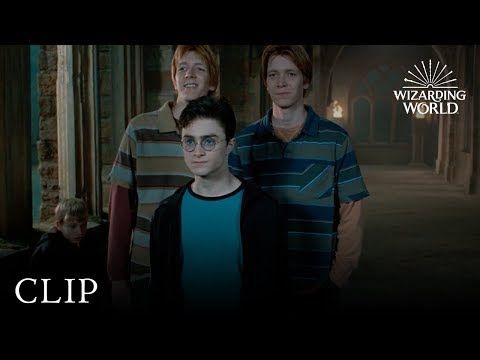 Fred and George Hatch a Plan
