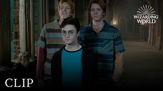 Fred and George Hatch a Plan | Harry Potter and the Order of the Phoenix