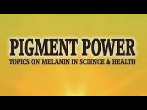 Dr. T. Owens Moore: The Science of Melanin, the Pineal Gland and Consciousness