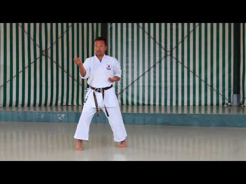 Kata Suparinpei - Sensei Shinichi Hasegawa