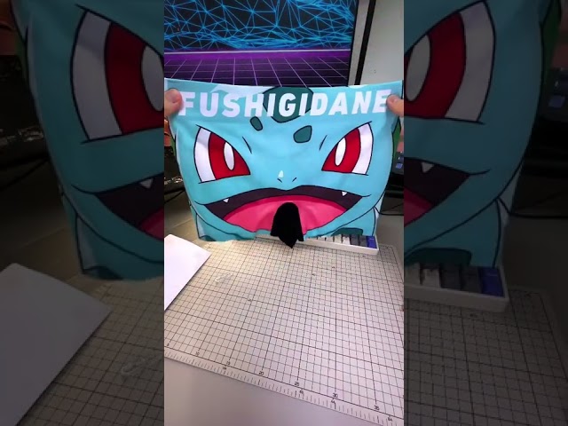 Vídeo relacionado con FREEGUN Boxer Homme Pokemon (FR/ES, Letras, S, Regular, Regular, Pika Volt Pkm18)