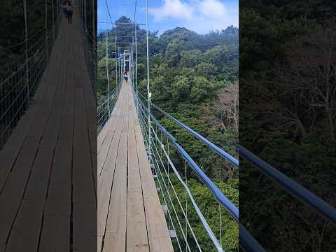 ASI ES EL PUENTE COLGANTE MÁS GRANDE DE ALEGRIA USULUTÁN #elsalvador #videoviral #turismo #viajes