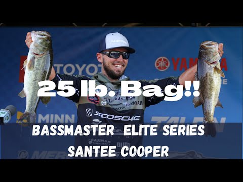 25lbs Bassmaster Elite (Santee Cooper)