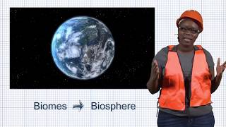 From Atoms to Biosphere: Biology Tutorial