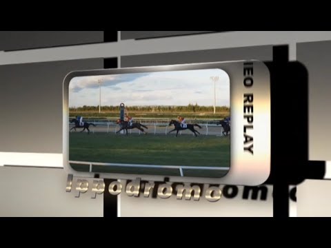 Galoppo Corse del 19 MAGGIO 2018