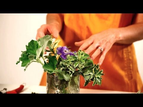 download lagu mp3 mp4 Flower Arrangement Greenery Names, download lagu Flower Arrangement Greenery Names gratis, unduh video klip Flower Arrangement Greenery Names