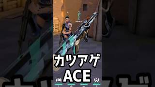 スキンカツアゲされた男のACE #shorts #valorant #valorantclips