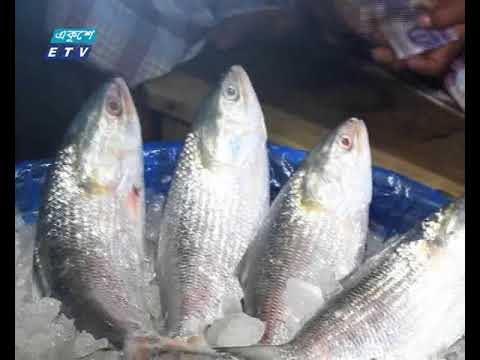 বাজারে ইলিশের দাম