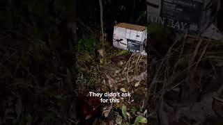 Video preview image #1 Labrador Retriever-Unknown Mix Puppy For Sale in Jefferson, NJ, USA