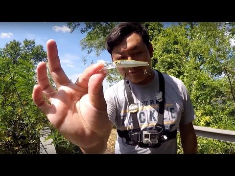 Fishing The Thundermist Lures Misty Minnow with Extreme Philly Fishing