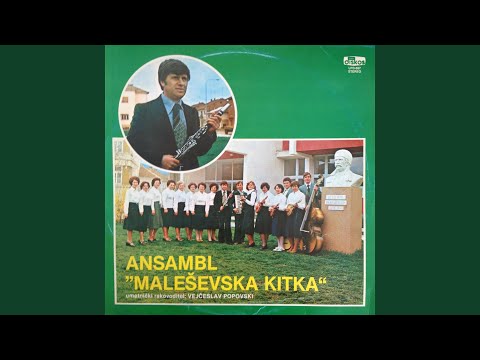 Mago, mago vaklo pile