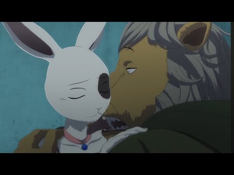 Eado mauls Ako | Beastars Season 3 | English Dub