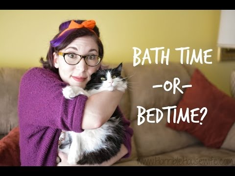 Why Do Cats Bathe Themselves at Bedtime?