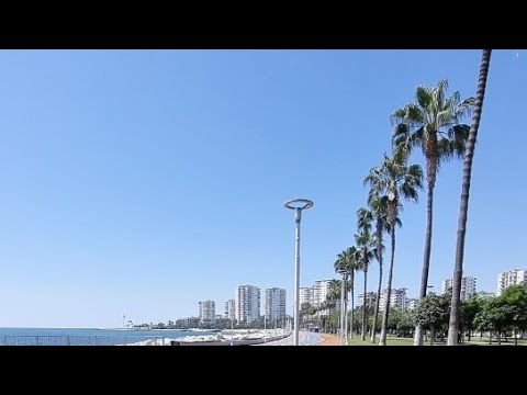 Günaydın sabah sahil kenarı canlı yayın